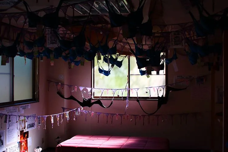 15046906_358535094485480_8252514556702621696_n