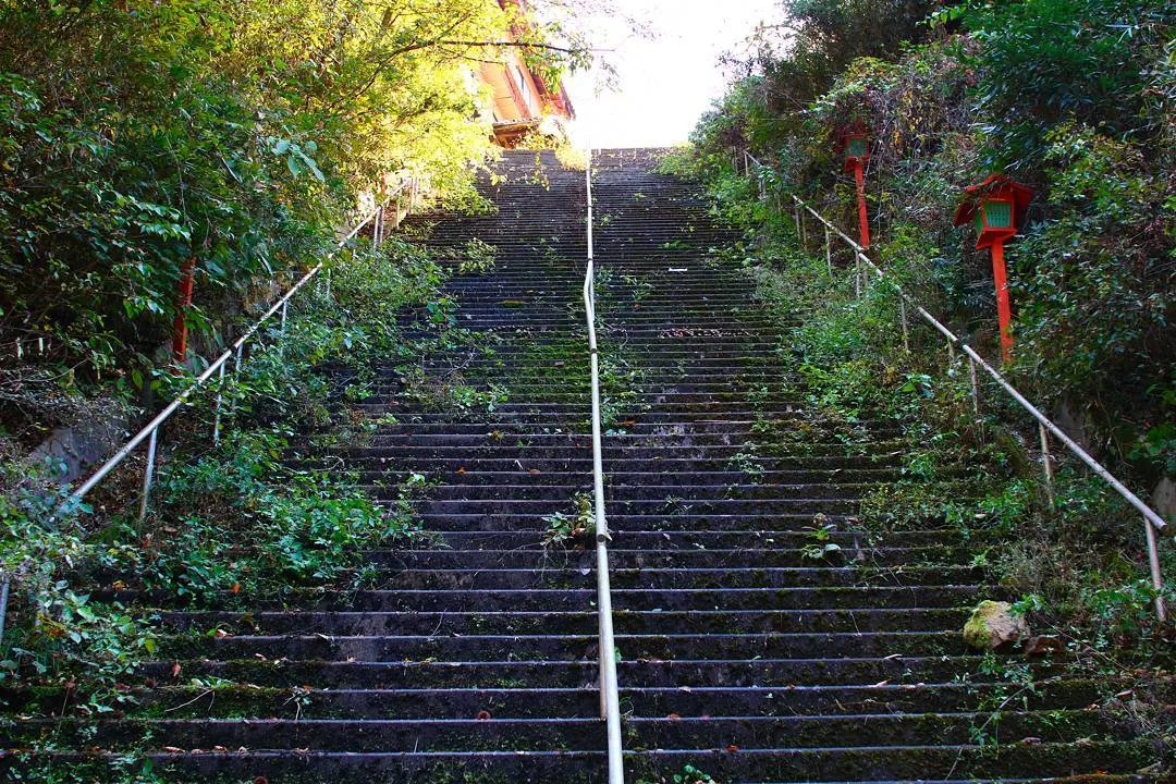 15623756_1037982696348588_7150192560026157056_n