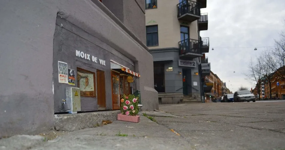 584ad650120000dd00eee6d8