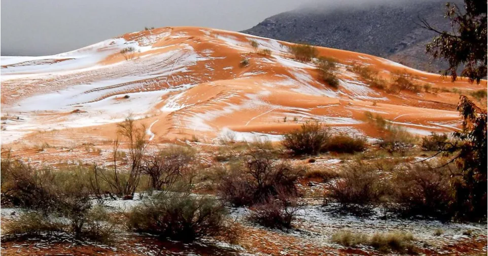 screen-shot-2016-12-22-at-10-41-33-am