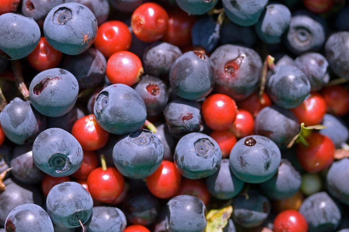 blueberries-and-cranberries