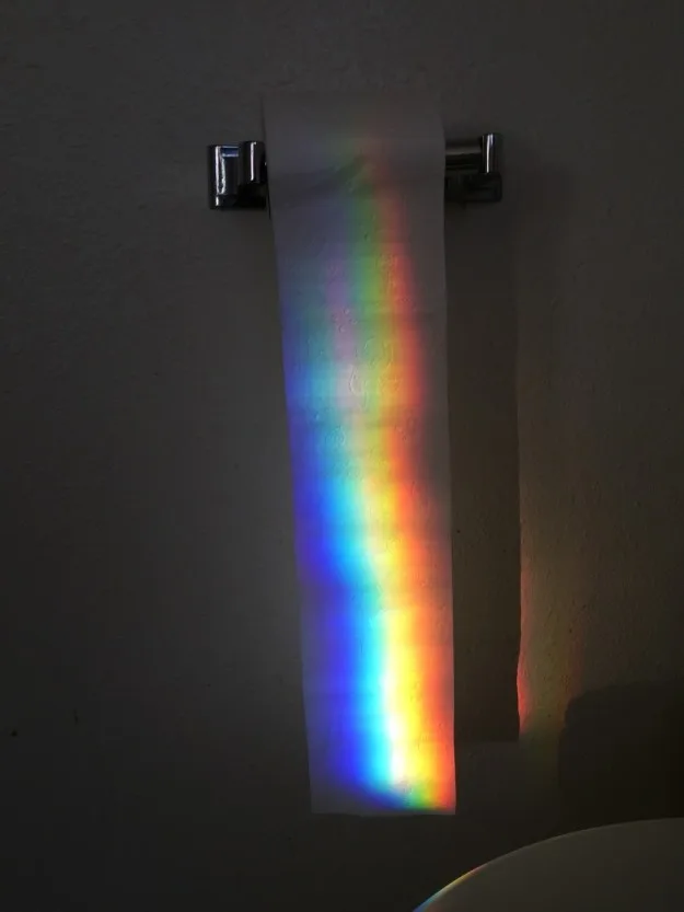 sub-buzz-20480-1481583424-1