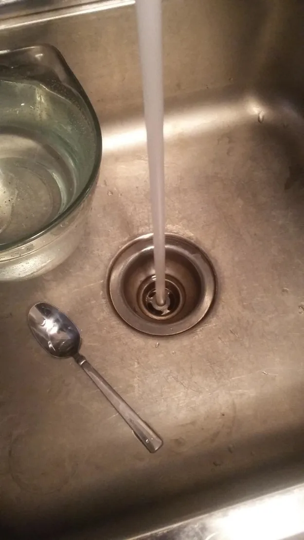 sub-buzz-31538-1481580484-8