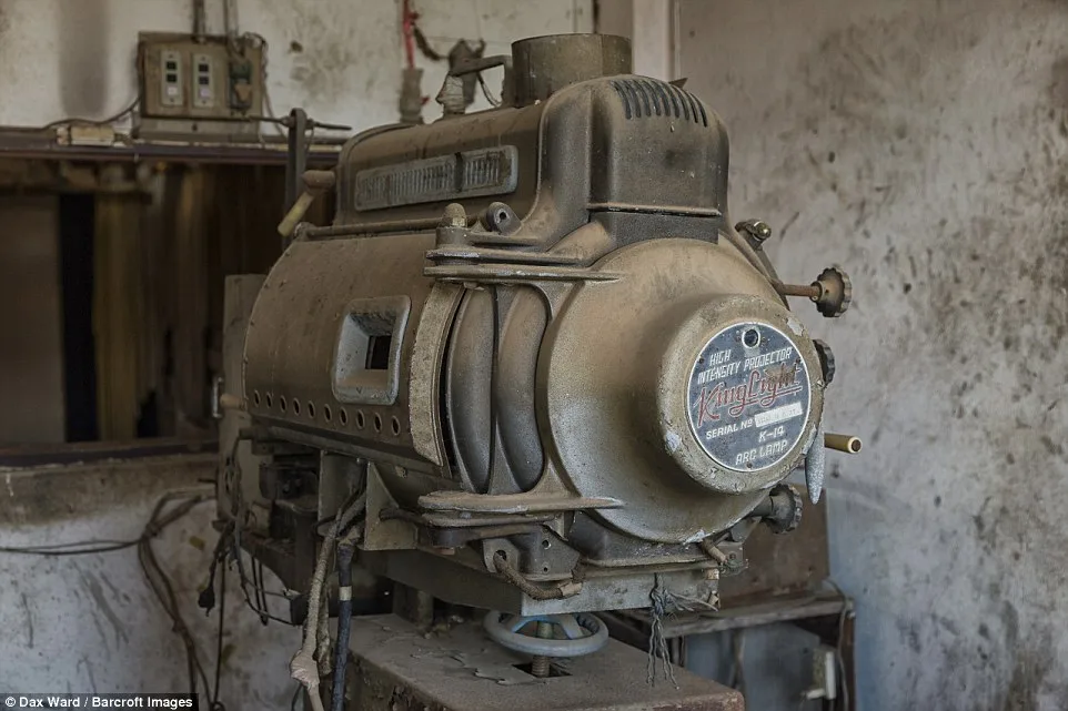 3be4136000000578-0-image-a-14_1483699571881