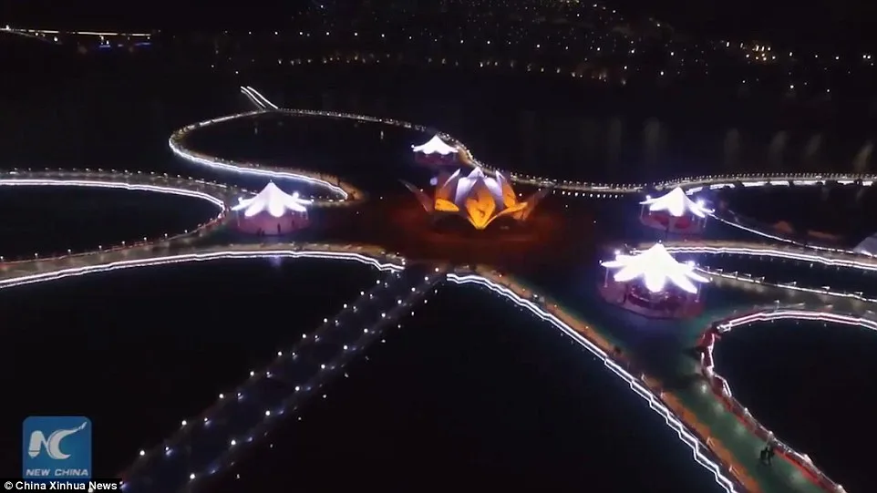 3be5067a00000578-0-image-a-24_1483875201195