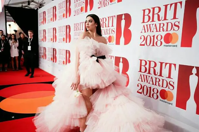 (credit : instagram.com/dualipa)