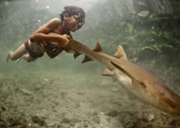 Whilst few young Bajau are now born on boats, the ocean is still very much their playground. And whilst they are getting conflicted messages from their communities, who simultaneously refrain from spitting in the ocean and continue to dynamite its reefs, I still believe they could play a crucial role in the development of western marine conservation practices. Here Enal plays with his pet shark. Wangi Wangi, Indonesia.