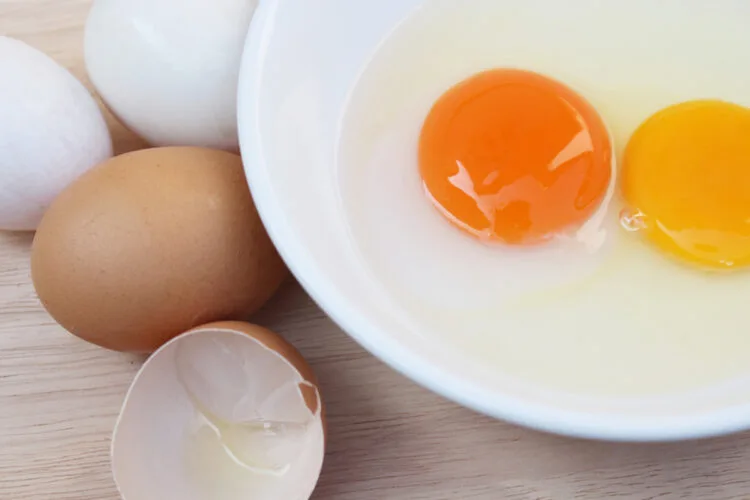 Duck egg yolk and hen egg yolk; Shutterstock ID 538399648