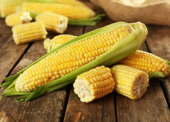 Fresh corn on cobs on rustic wooden table, closeup; Shutterstock ID 314163662; Co #: 100; PAU: 48078; Activity Code: MCHSDIG; Department: MCHS
