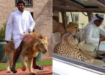 Foto - Imgur via Illumeably/Asia News