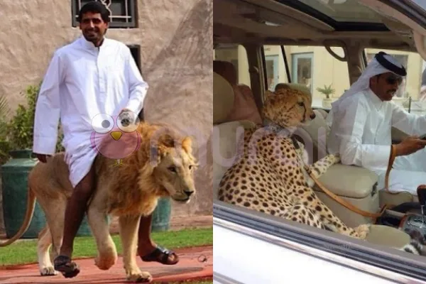 Foto - Imgur via Illumeably/Asia News