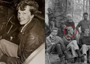 Foto - Britannica / Pea Body