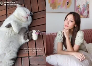 Foto - Instagram @daiyantrisha