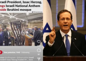 Foto - Instagram @free.palestine.1948/Ynetnews