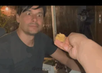 Foto - Instagram @rajailya