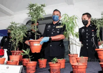 foto via Hazreen Mohamad