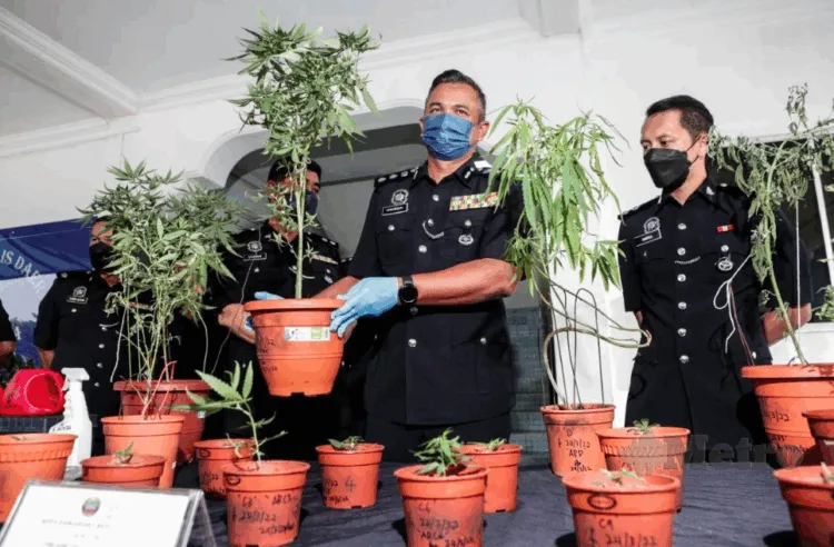 foto via Hazreen Mohamad