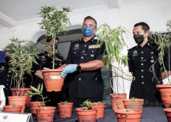 via Harian Metro