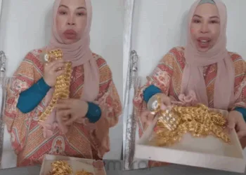 via (IG) Dato Seri Vida