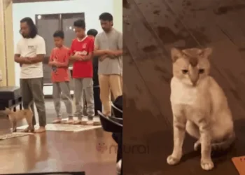 via Instagram Faizal Tahir