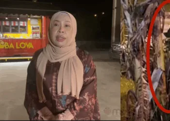 via Instagram Datuk Seri Vida