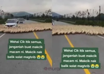 via TikTok @cikcahaya738