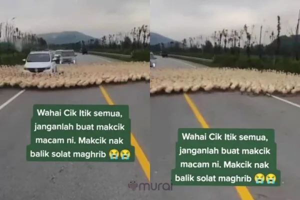 via TikTok @cikcahaya738