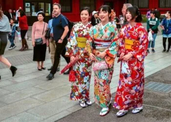 Foto - Daily Travel Pill