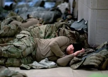 Foto - The Teal Mango