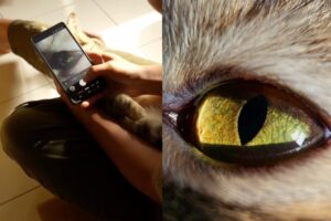 [VIDEO] Karya Fotografi Menakjubkan Pojiegraphy: Teknik Makro dan Nightografi 50MP Pada Galaxy S25 Ultra
