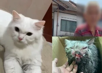 Foto - @dialamfana.chinta (FB)