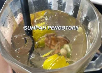 Foto - @_iiimalina (TikTok)