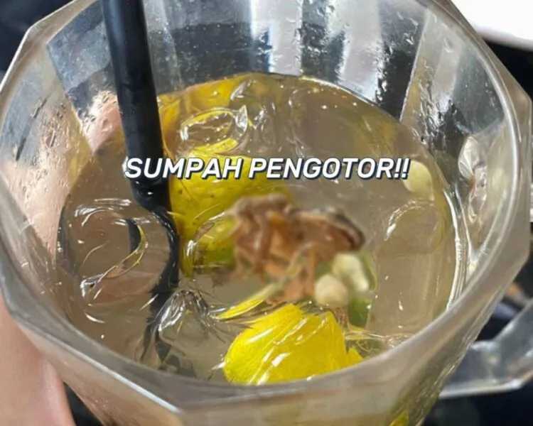 Foto - @_iiimalina (TikTok)