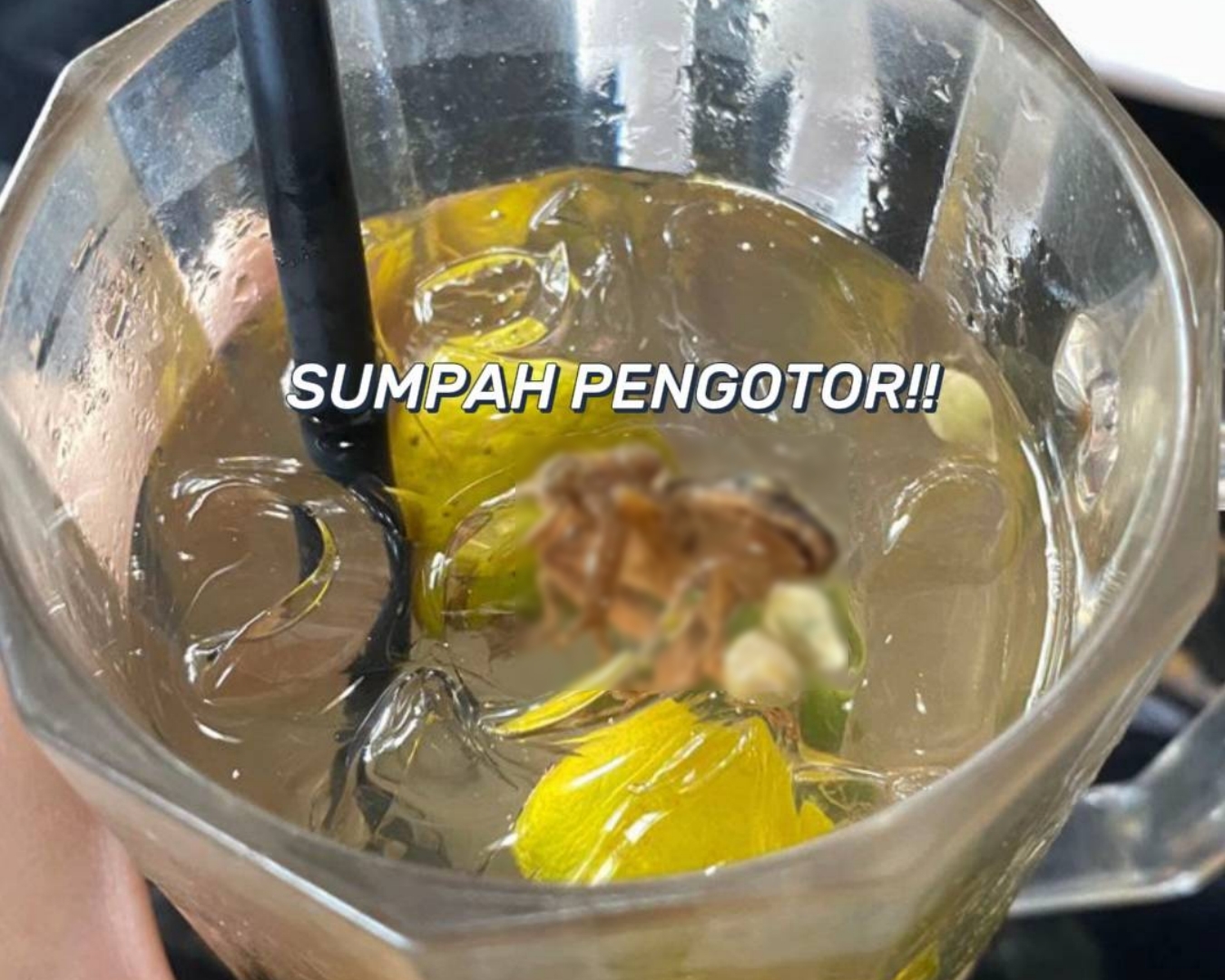 [VIDEO] Wanita Terkejut Lihat Katak Terapung Dalam Air Minuman- “Color Tu Pun Dah Macam Asam Boi”