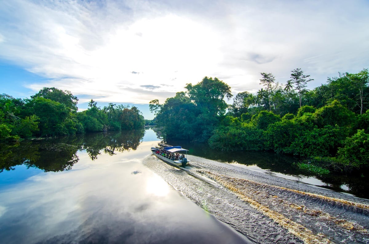 Dari Gua Purba ke Sungai Berkelip! Ini Antara Spot Alam Malaysia yang Buat Anda Terpukau