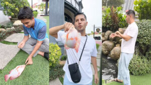 [VIDEO] Gelagat Aliff Syukri & Ammar Tangkap Ikan Talapia Di Halaman Rumah, Lain Pula Netizen Lihat