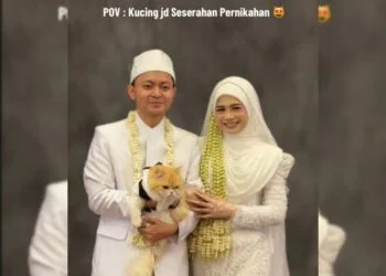 Foto - @@glowingbjmgroup (TikTok)