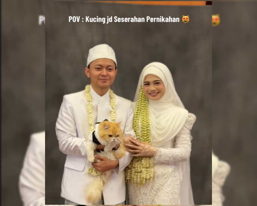 [VIDEO] Comelnya! Wanita Ini Curi Perhatian Selepas Terima Kucing Sebagai Hantaran Kahwin