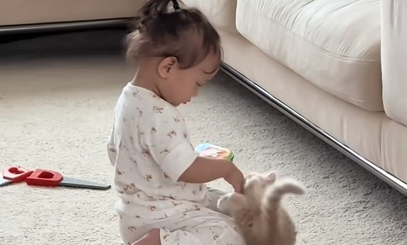 [VIDEO] Gelagat Lucu Anak Zahirah Macwilson Bersama Kucing Kesayangan Buatkan Netizen Teruja