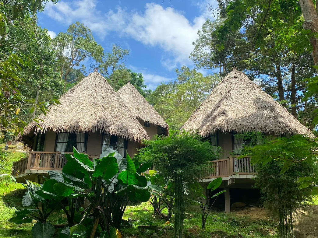 Macam Dalam “Fairy Tale”, Siapa Sangka Ada Glamping & Chalet Kayu Tengah Hutan Jeli, Kelantan