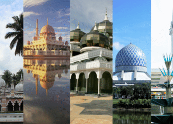 via Unsplash/Pexels/Wikipedia