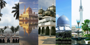 via Unsplash/Pexels/Wikipedia