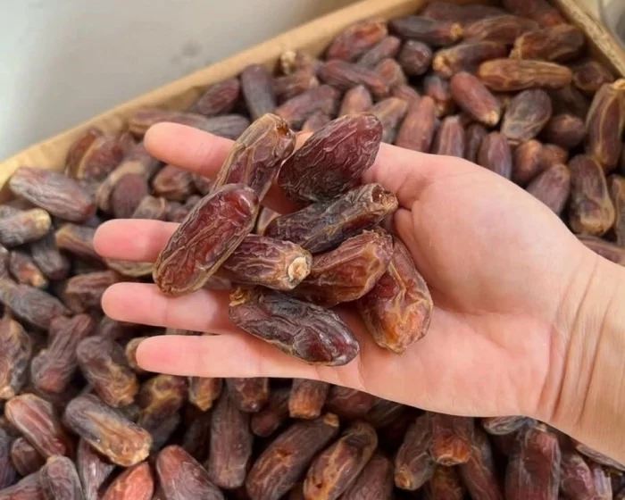 Foto - @kurma_jogja (IG)