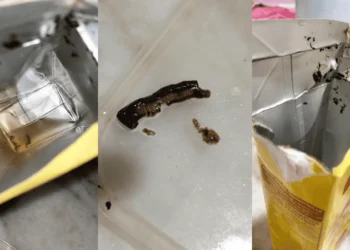 via Reddit @Financial_Cake_537