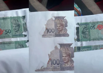 via Thread /@miaaaaa__z