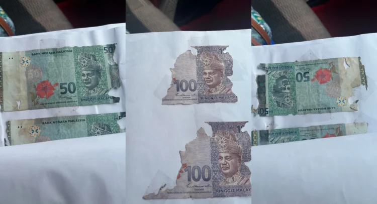 via Thread /@miaaaaa__z