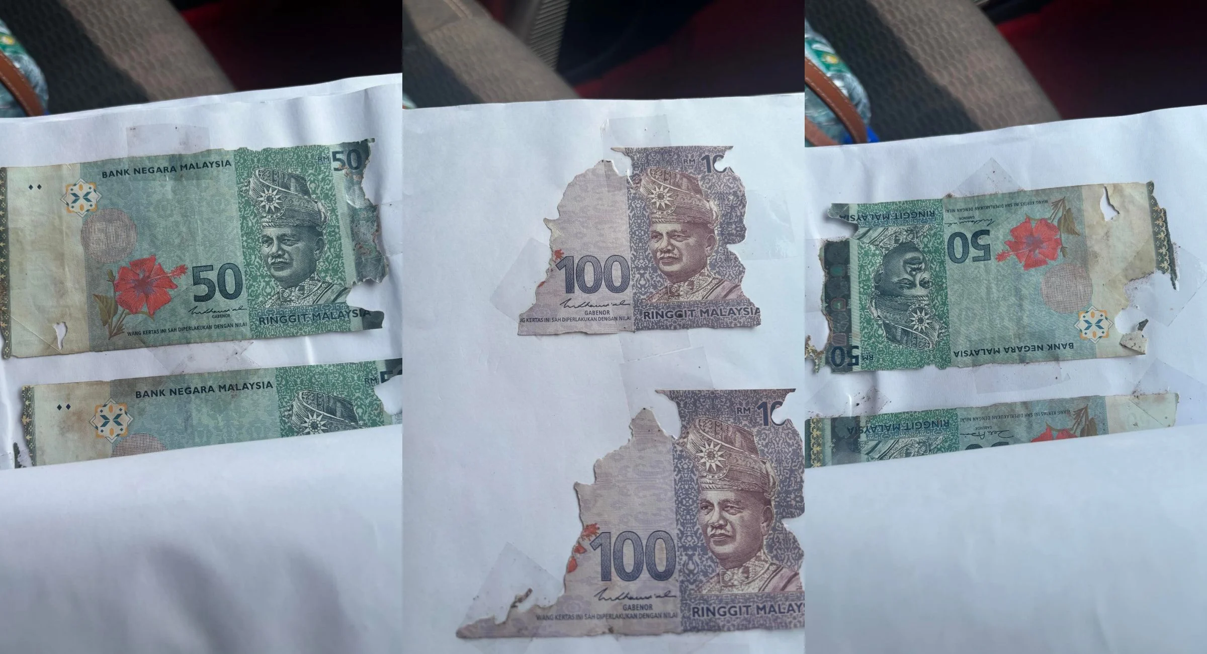 Duit RM7,000 Dimakan Anai-Anai, Boleh Tukar Ke? Ini Apa Yang Perlu Dibuat