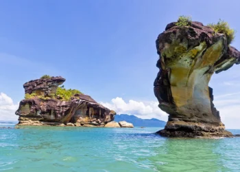 Gambar: Official Website @Bako National Park