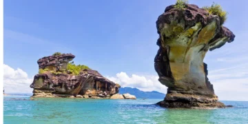 Gambar: Official Website @Bako National Park