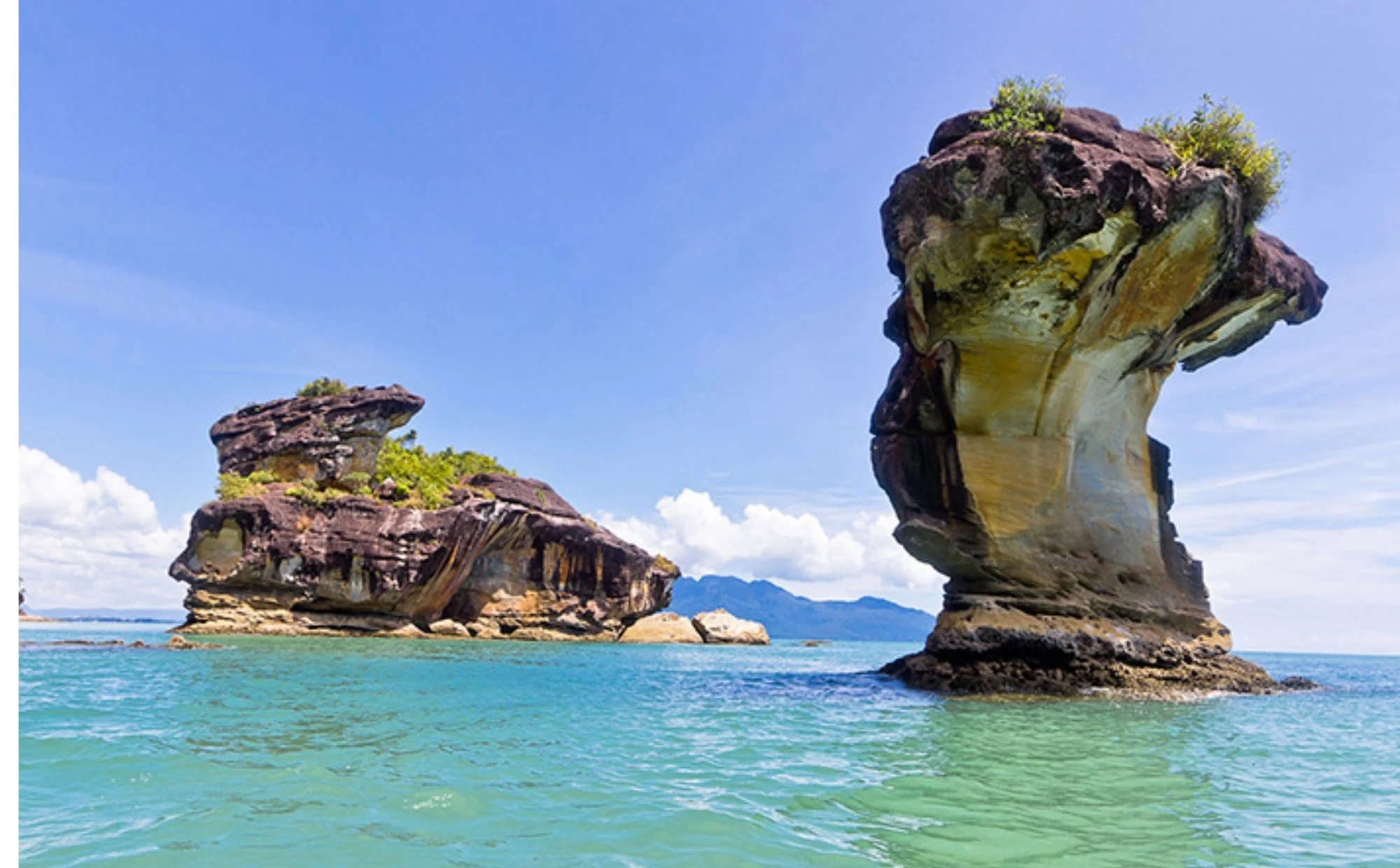 Bako National Park Tarikan Popular Di Sarawak, Peluang Lihat Monyet Proboscis Dari Dekat